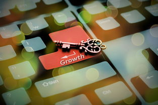 开云体育网页入口-美国队赛制透视:团体赛制中的关键战术与应对策略,美国队内训练赛