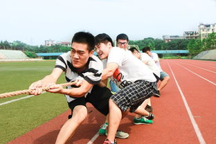 开云体育网页版入口-体育新闻中心联合高校开展体育内容创新创业竞赛,学校体育创新项目