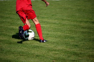 开云体育中国官网-冬奥场馆智能系统协助运动员热身训练，冬奥会设备